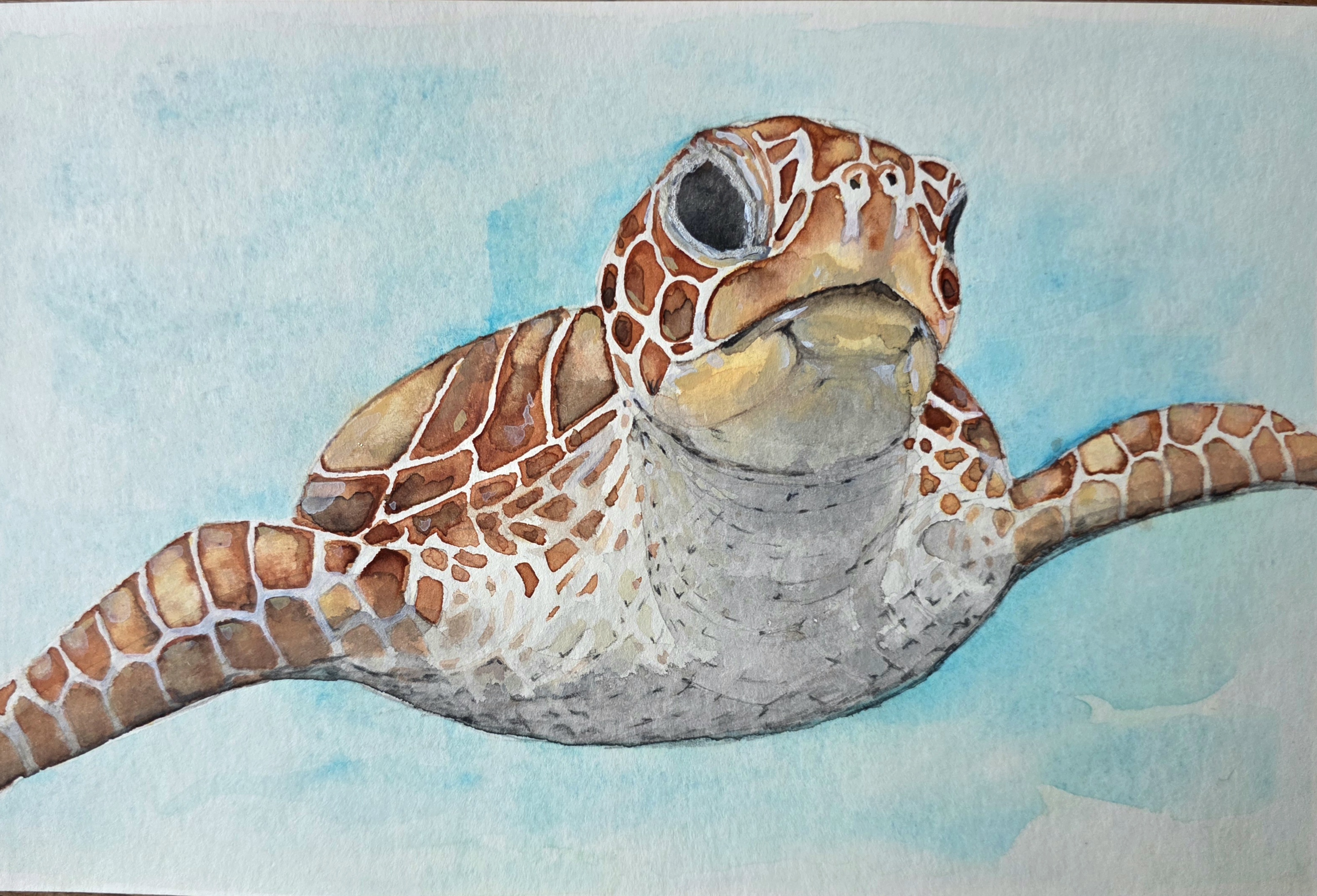 Skizzen und Aquarelle von einer Reise nach Mexiko 2025, festgegehalten in einem Reisetagebuch